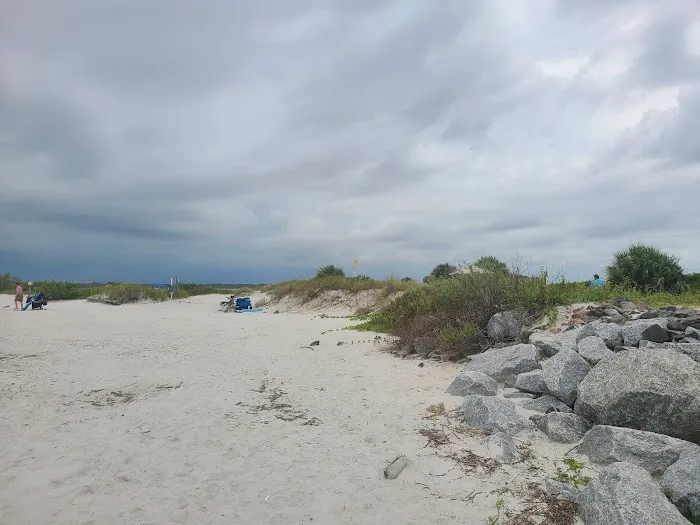 Ponce Inlet Dog Beach 10