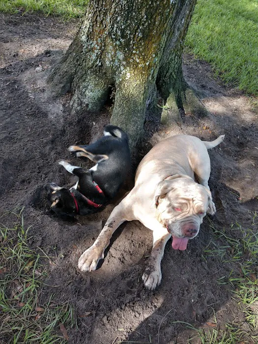 Dog Park 8