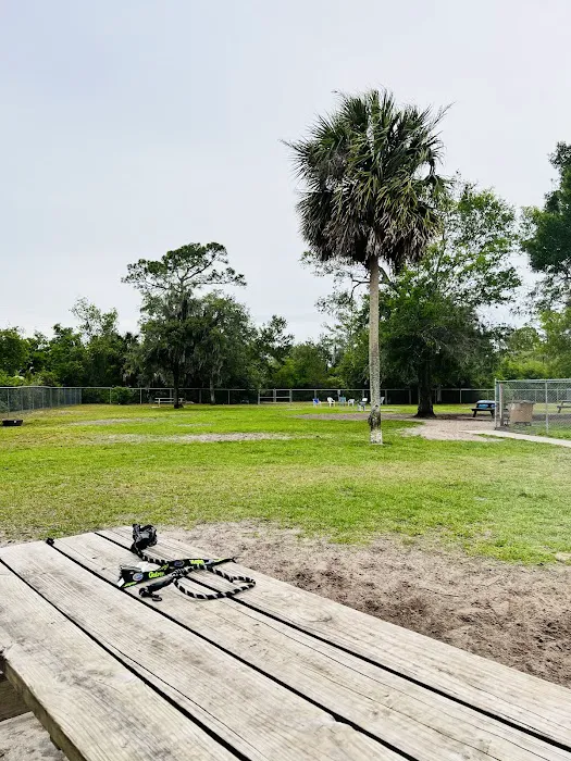 Dog Park 6