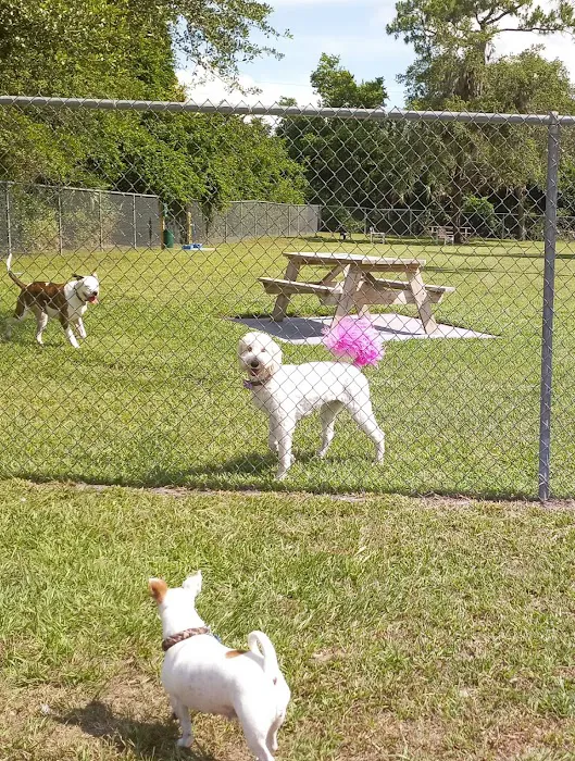 Dog Park 3