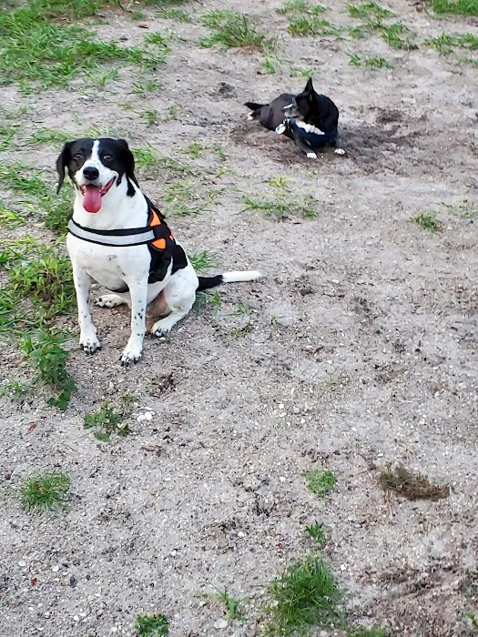 Barkley Square Dog Park 2