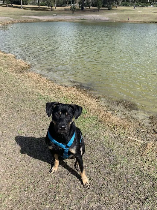 Barkley Square Dog Park 1