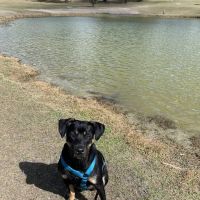 Barkley Square Dog Park ico