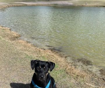Barkley Square Dog Park
