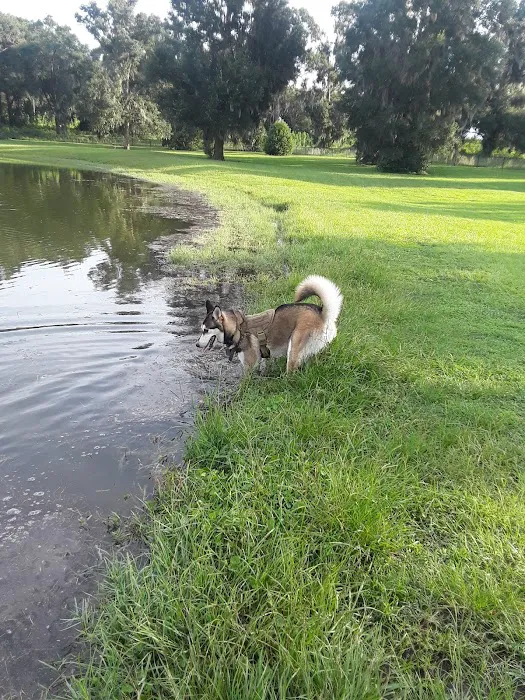 Barkley Square Dog Park 4