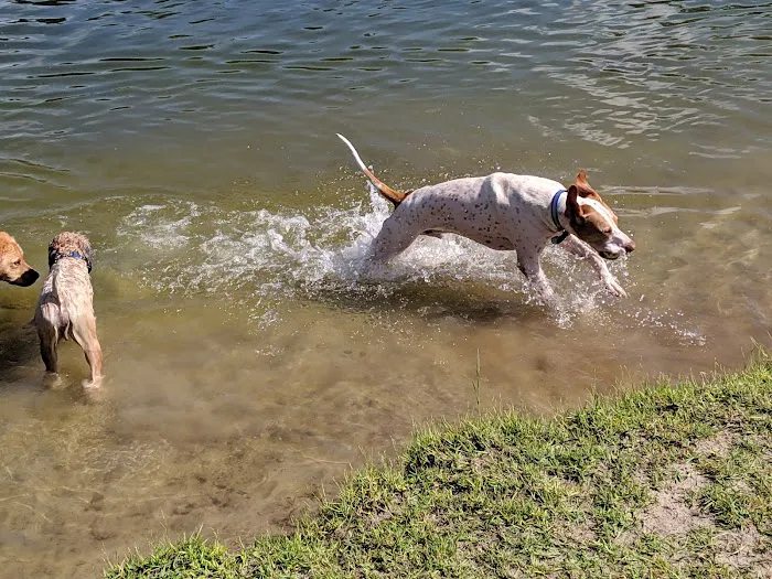 Barkley Square Dog Park 10