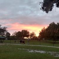 Keysville Dog Park ico