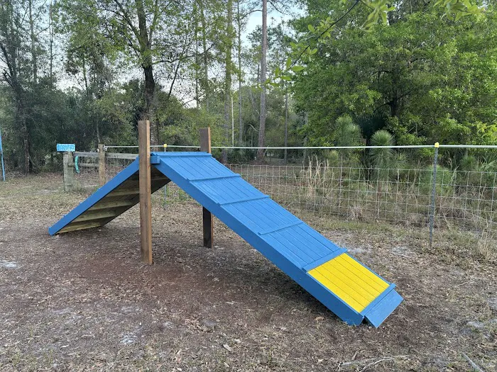 Drive In Dog Park 9
