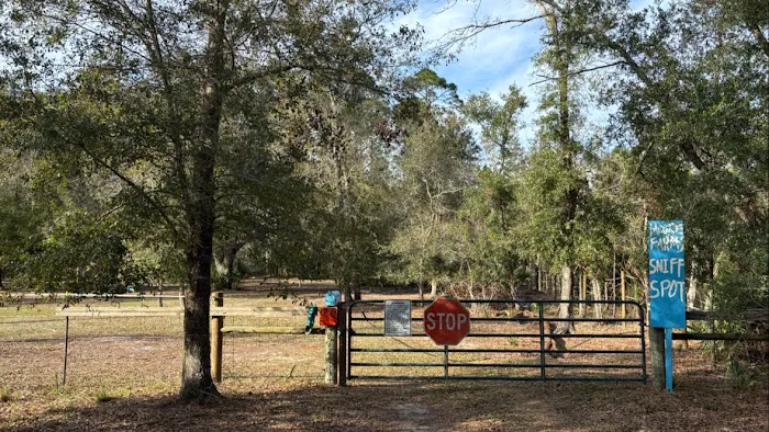 Drive In Dog Park 1