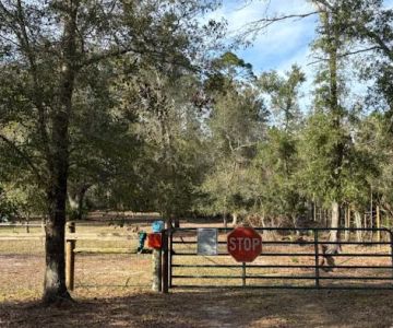 Drive In Dog Park