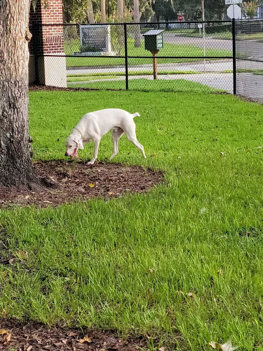 Paw Park of Historic Sanford 9