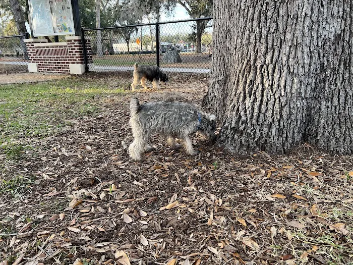 Paw Park of Historic Sanford 6