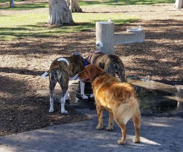 Paw Park of Historic Sanford