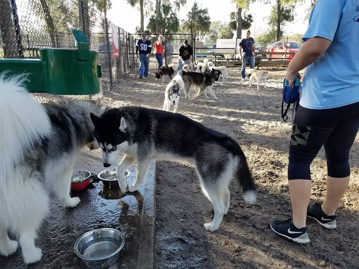 Arbor Dog Park 5