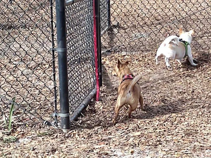 Arbor Dog Park 8