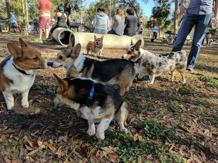 Arbor Dog Park 3
