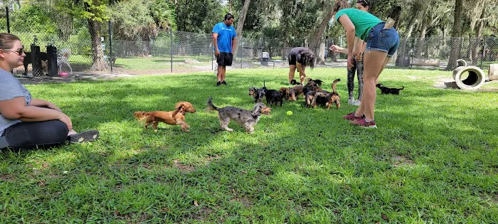 Arbor Dog Park 9