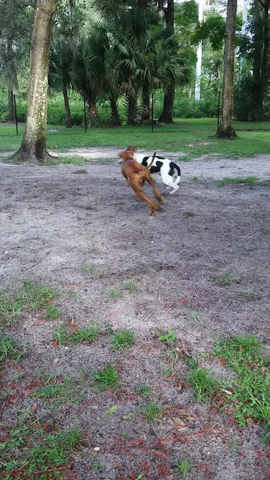 Arbor Dog Park 6