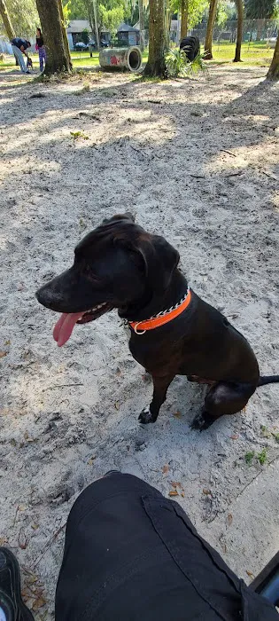 Arbor Dog Park 10