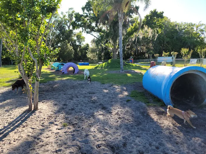 Shane Kelly Bark Park 3