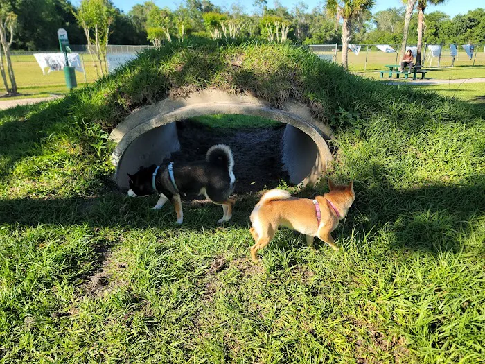 Shane Kelly Bark Park 2
