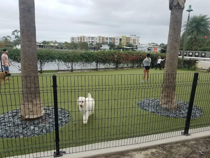 Center Lake Doggy Park 6
