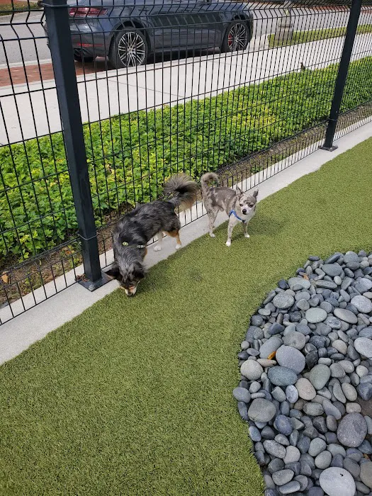 Center Lake Doggy Park 7