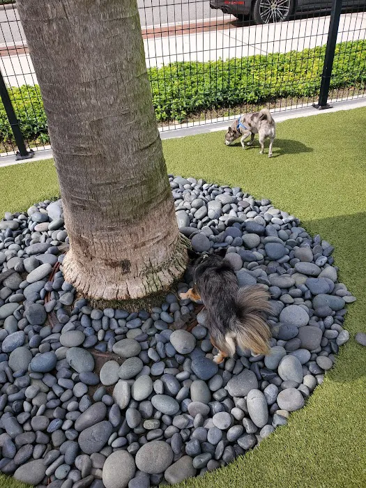 Center Lake Doggy Park 10
