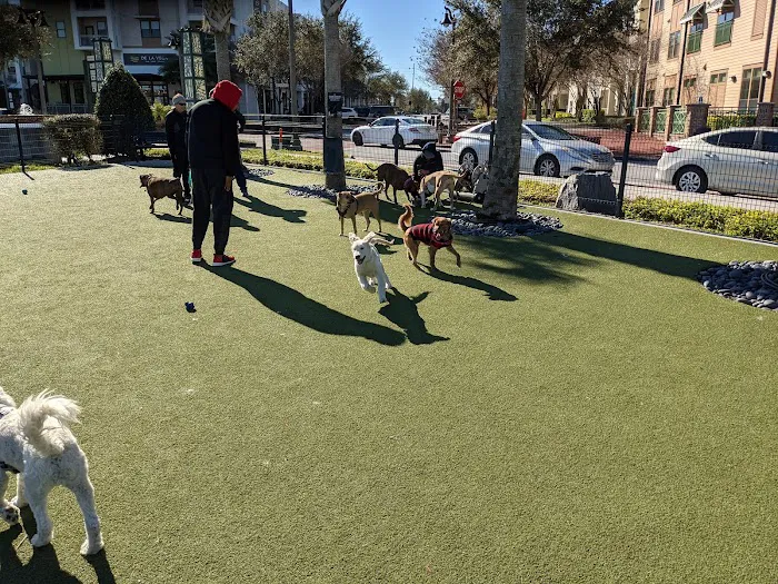 Center Lake Doggy Park 9