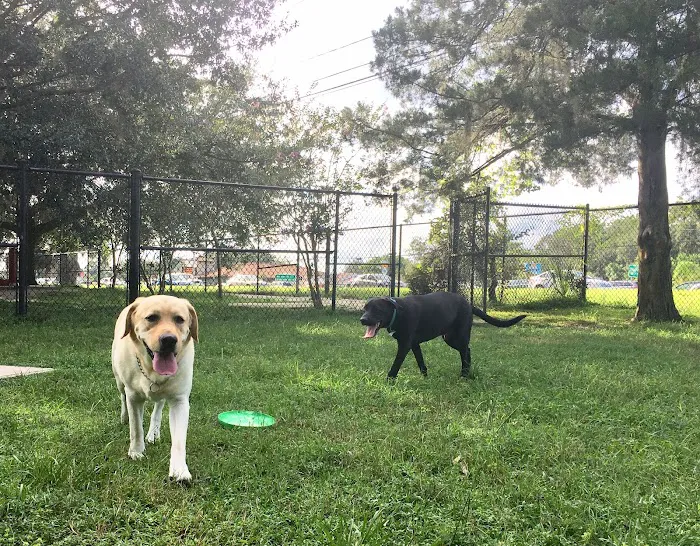 Downey Dog Park 4