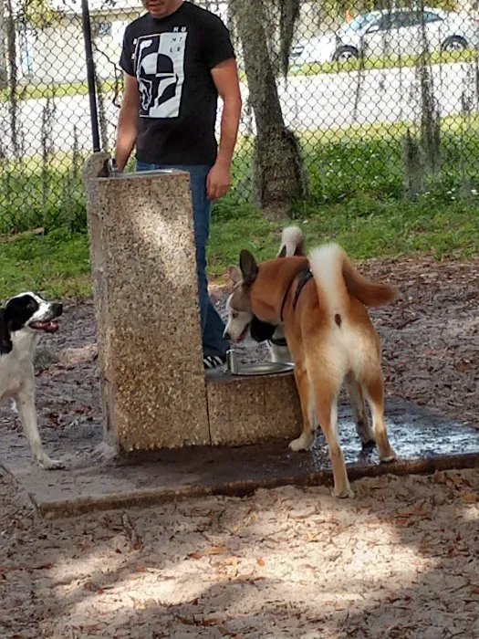 Downey Dog Park 1