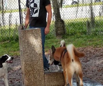Downey Dog Park