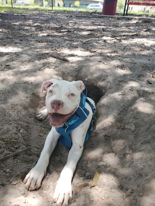 Downey Dog Park 3