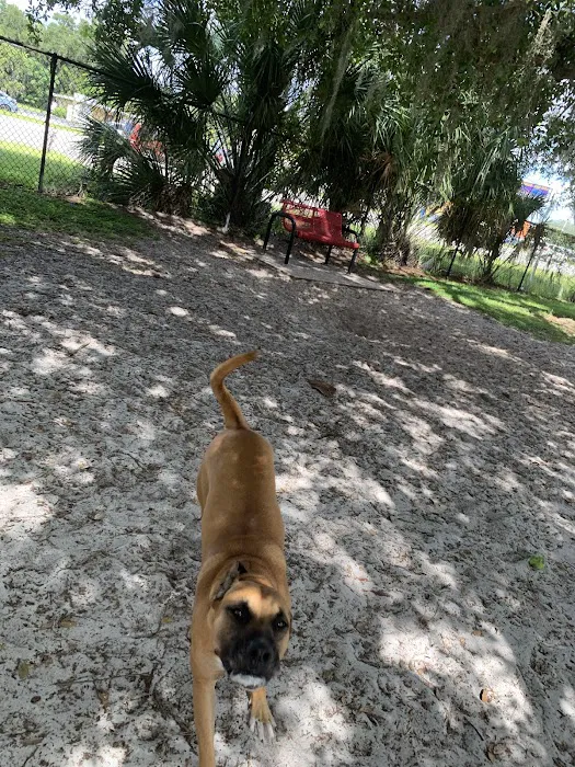 Downey Dog Park 10