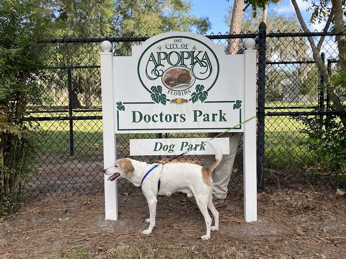 Doctors' Dog Park 5