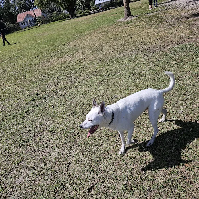 Doctors' Dog Park 10