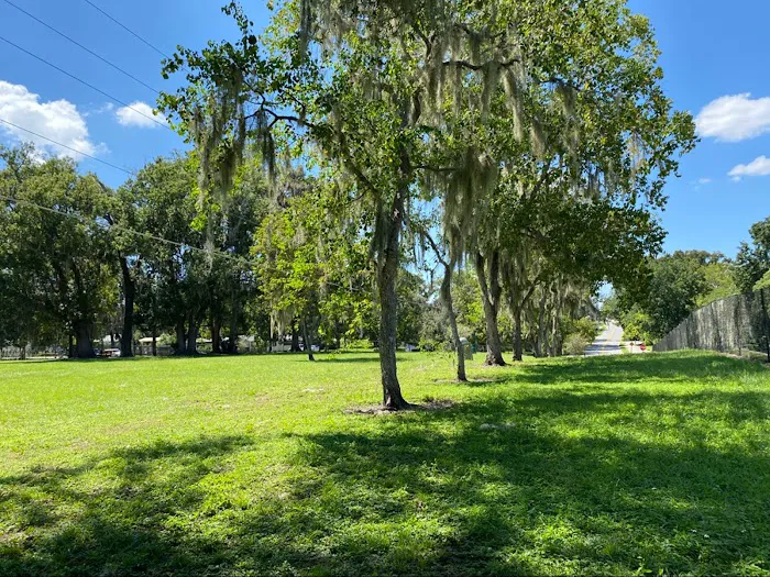 Doctors' Dog Park 2