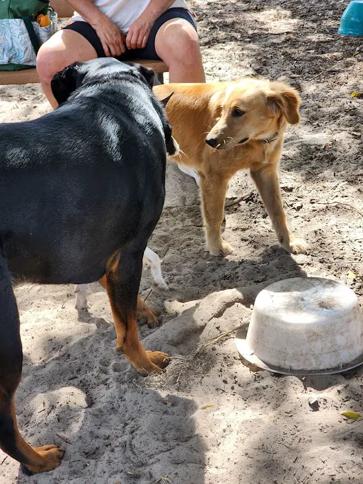 Doctors' Dog Park 7