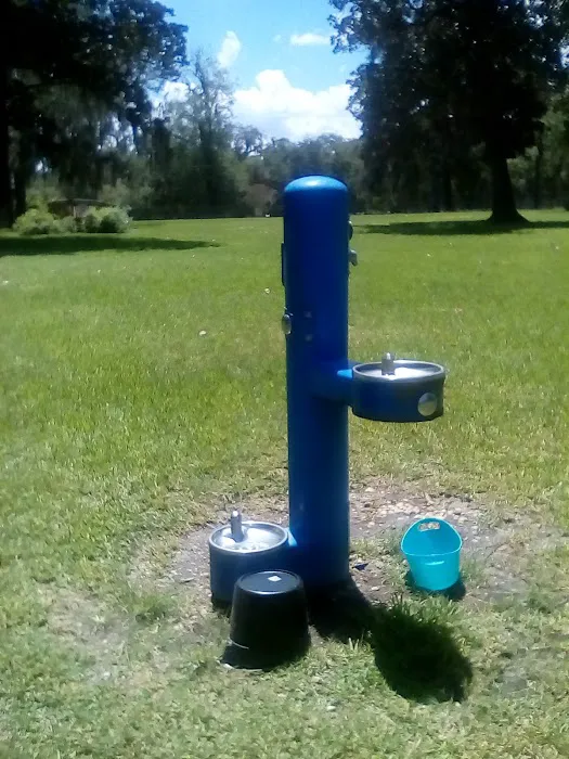 Doctors' Dog Park 6