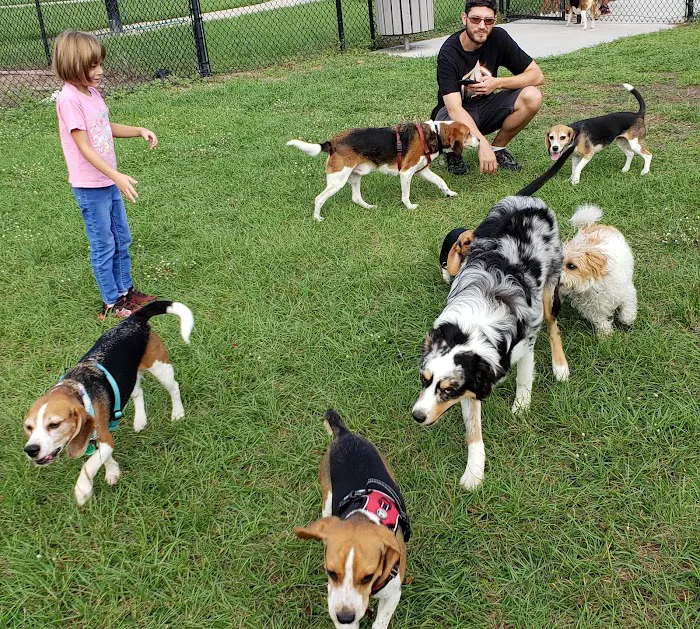 Lake Druid Dog Park 6