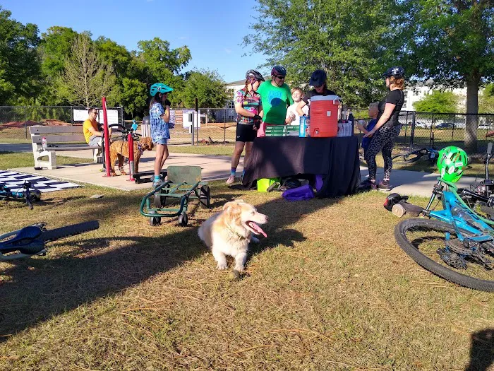 Lake Druid Dog Park 8