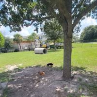 Lake Druid Dog Park ico