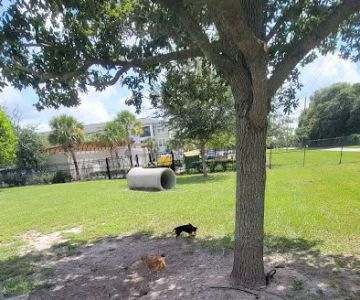 Lake Druid Dog Park