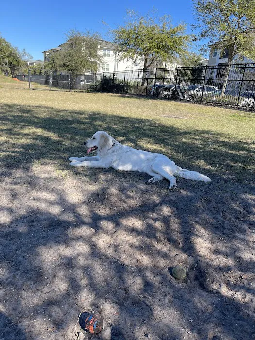 Lake Druid Dog Park 5