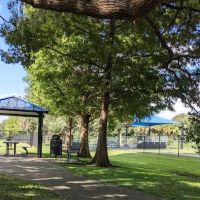 Yucatan Dog Park ico