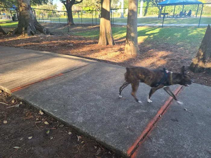 Yucatan Dog Park 7