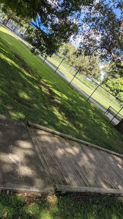Yucatan Dog Park 4