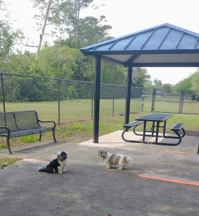 Yucatan Dog Park 9