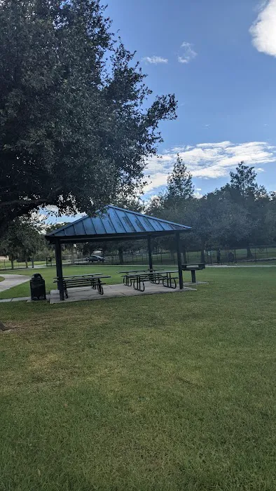 Yucatan Dog Park 8