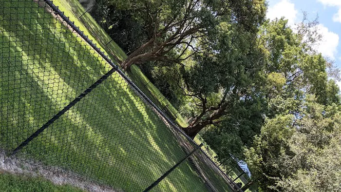 Yucatan Dog Park 3